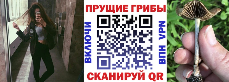 Псилоцибиновые грибы ЛСД  Купить  Змеиногорск 
