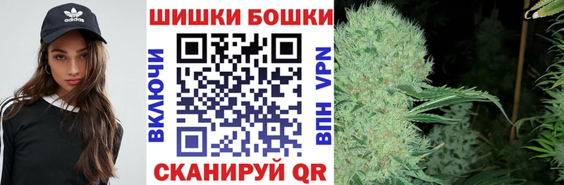 Купить закладки Змеиногорск Каннабис семена